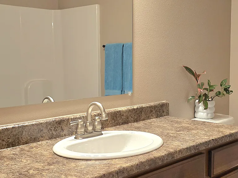Ensuite, View 2