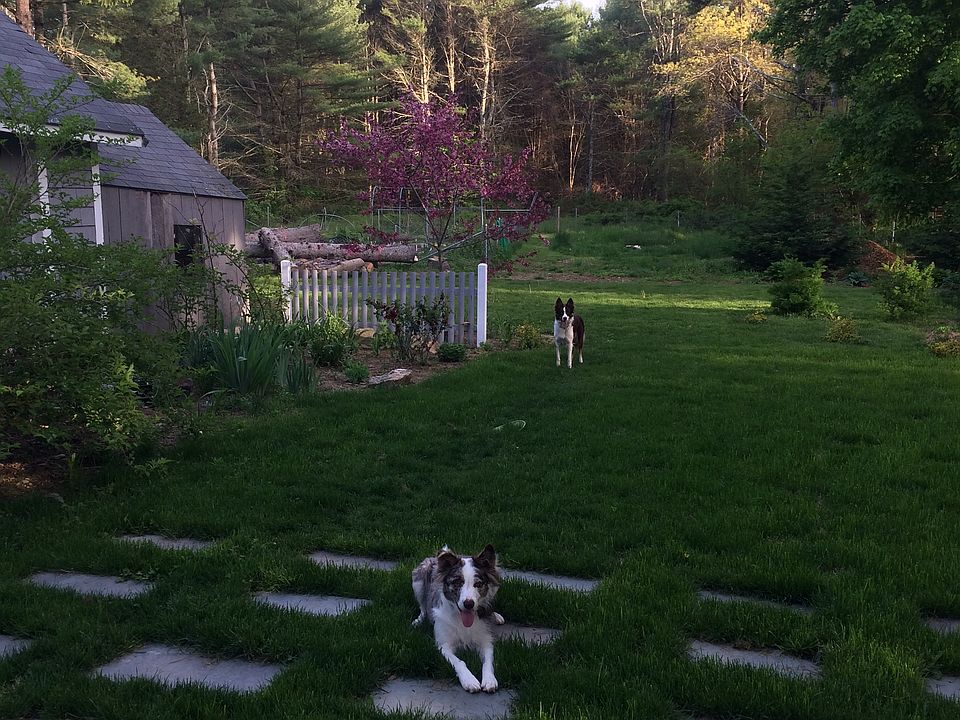 108 Marion Rd, Rochester, MA 02770 Zillow