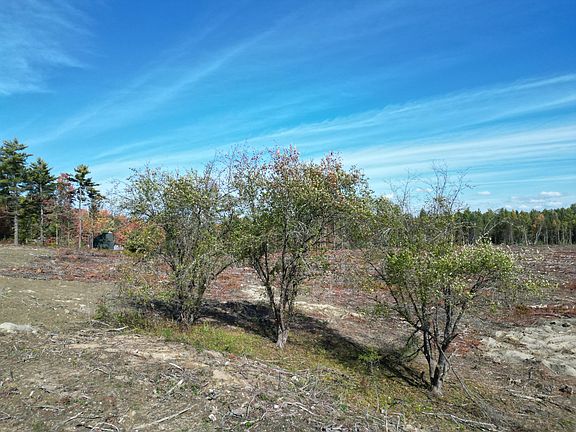 3rd image of 19  N Horseback  Road
