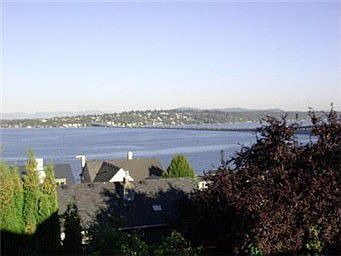 View from the dining room