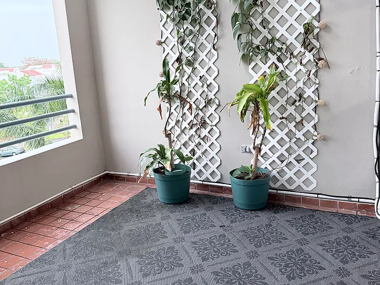 65 Media Luna — Photo 25
