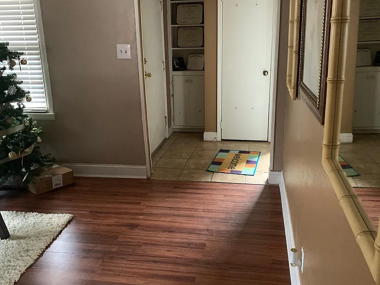 Living room front door