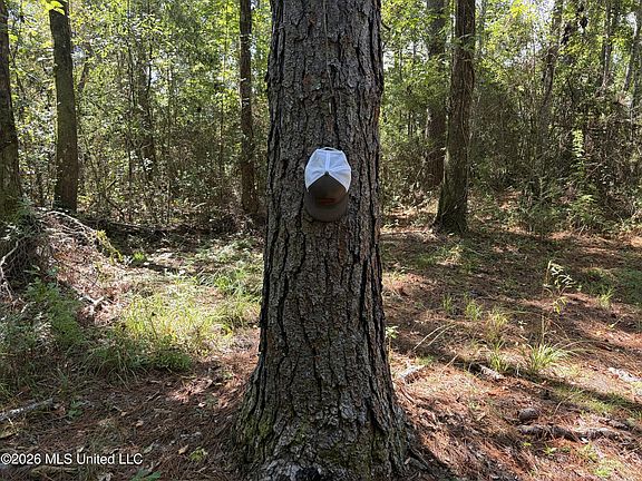 5th image of Rayford Shumock Rd