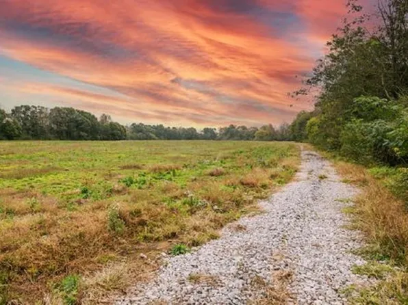 377 County Road 540, Hanceville, AL 35077