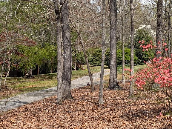 5th image of 223 Mountain Breezes Dr