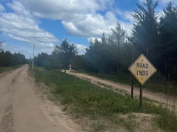 Pappys Trl, Grayling, MI 49738