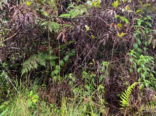 Road 14 LOT 763, Volcano, HI 96785