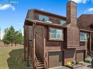 303 E Lake Ave, Woodland Park, CO 80863