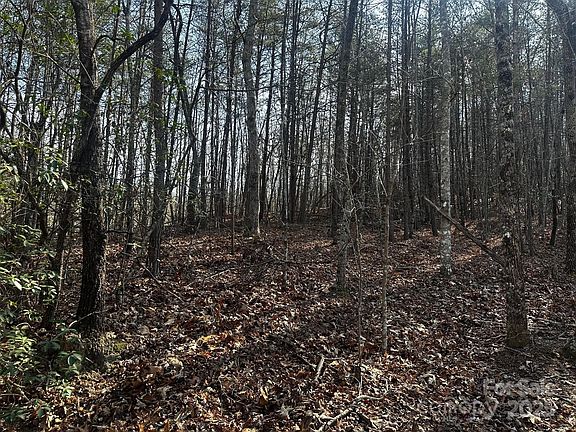 3rd image of 0 Grassy Knob Rd