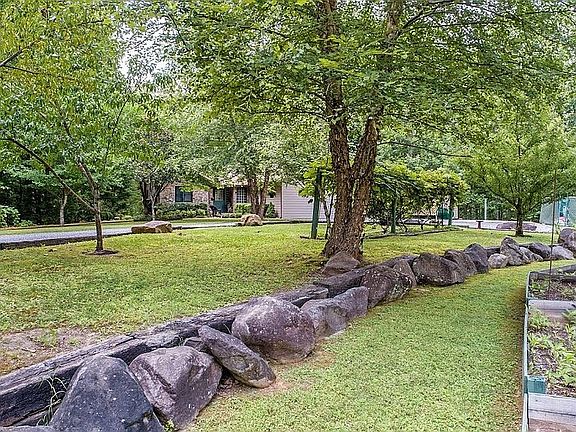 Fruit Trees and Grape Vines