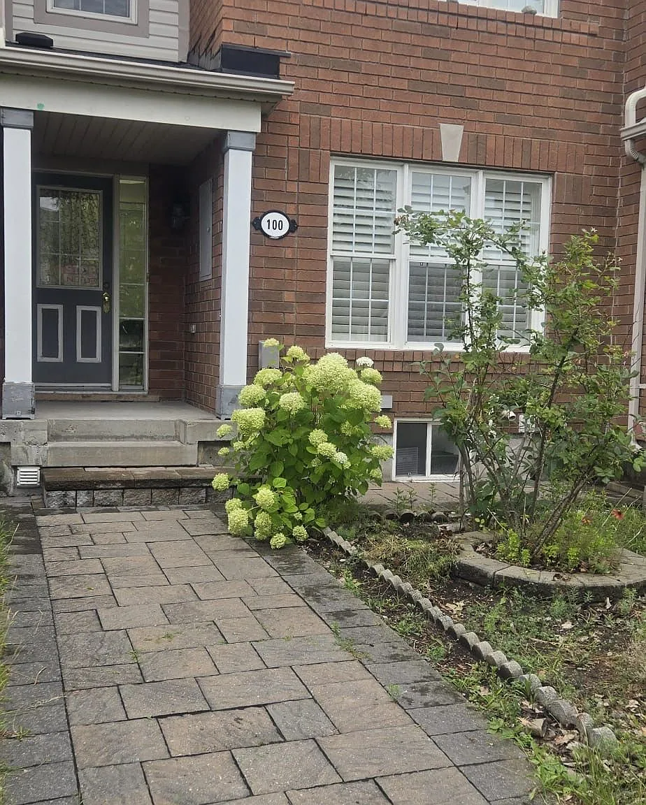 3 bed, $2,800 — Photo 2