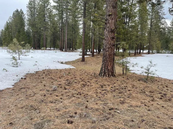 4XX Couples Ct, Chewelah, WA 99109