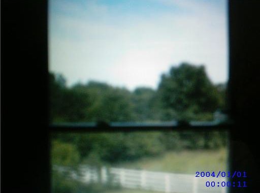 5th image of 28649 Golden Pond Trl