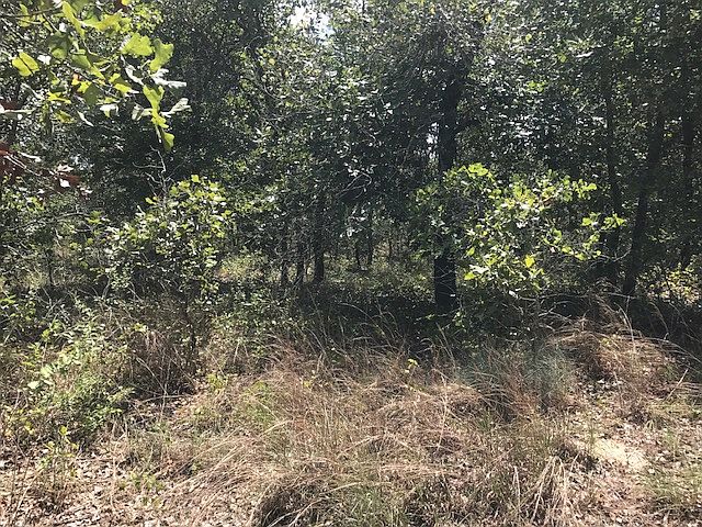 2nd image of 24050 Trumbo Rd
