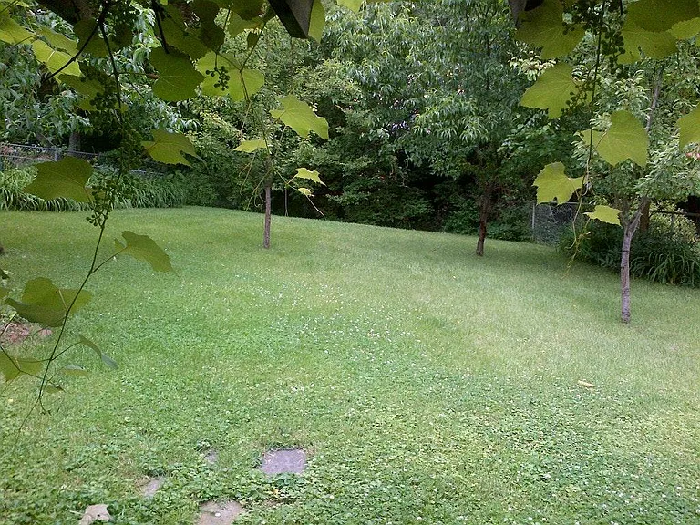 1801 Grace Church Rd — Photo 3