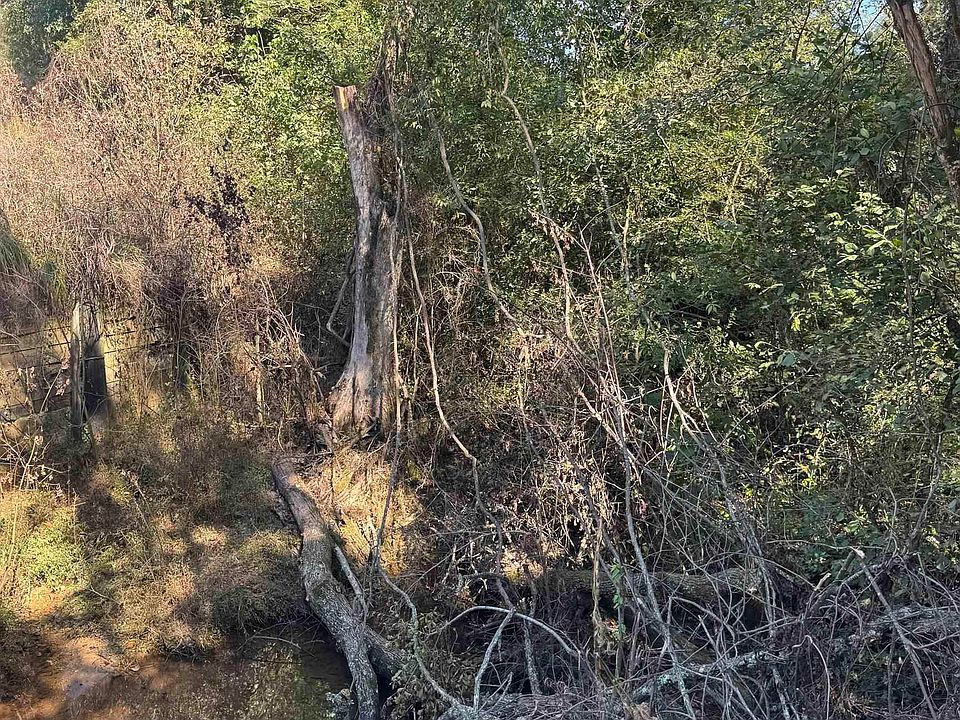 2nd image of 15/ACRE S County Road 619 #1
