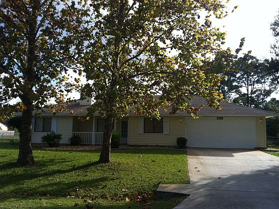 Shade trees in front