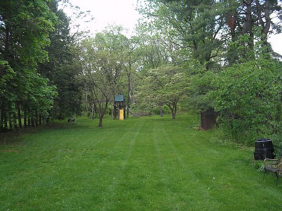 back yard