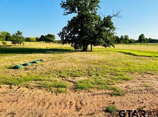 12371 County Road 346, Winona, TX 75792