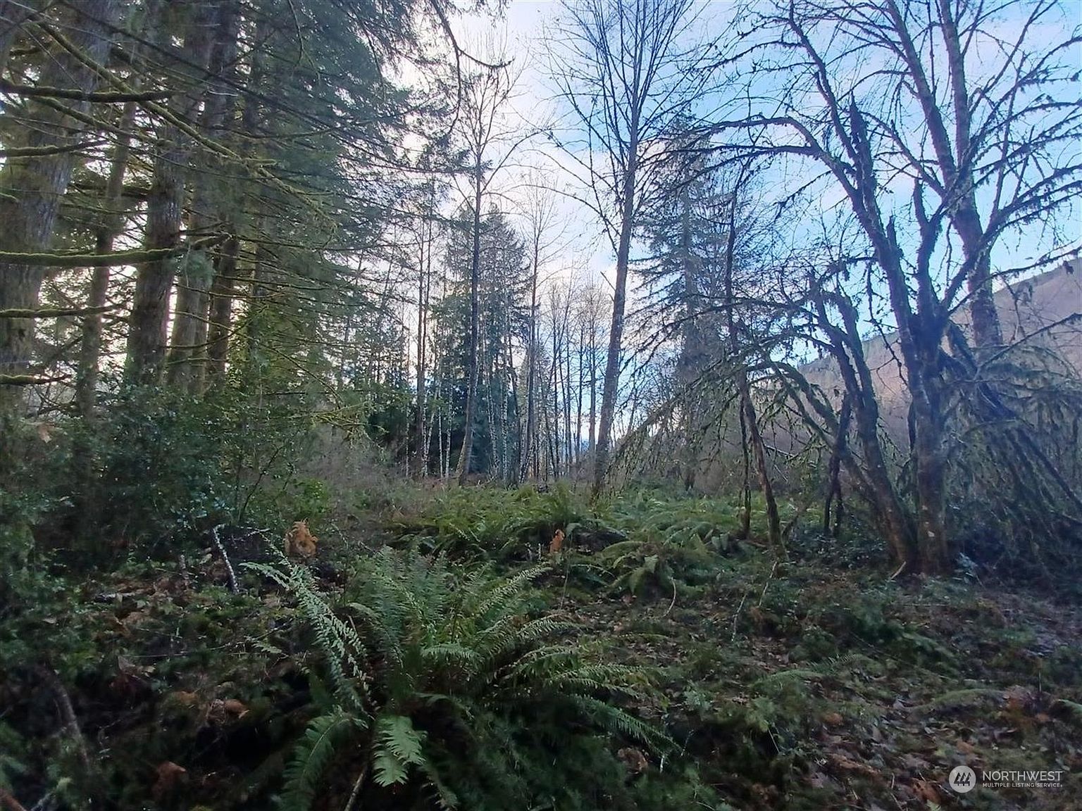 0 Aberdeen Road, Morton, WA 98356 MLS NWM2025801 Zillow