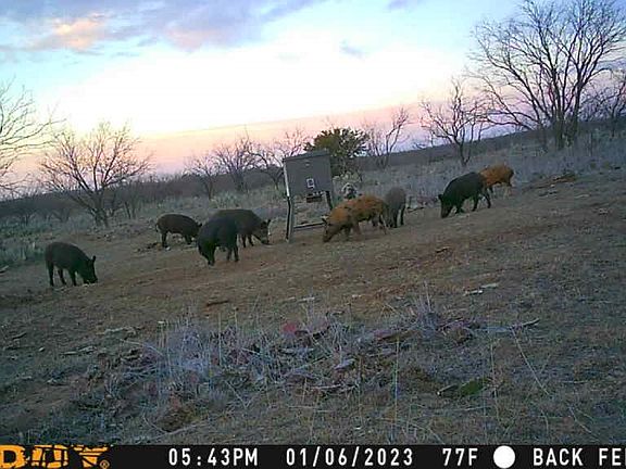 3rd image of 5860 County Road 423