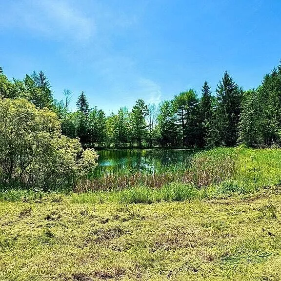8411 State Route 374 — Photo 16