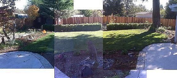 Back yard panoramic
