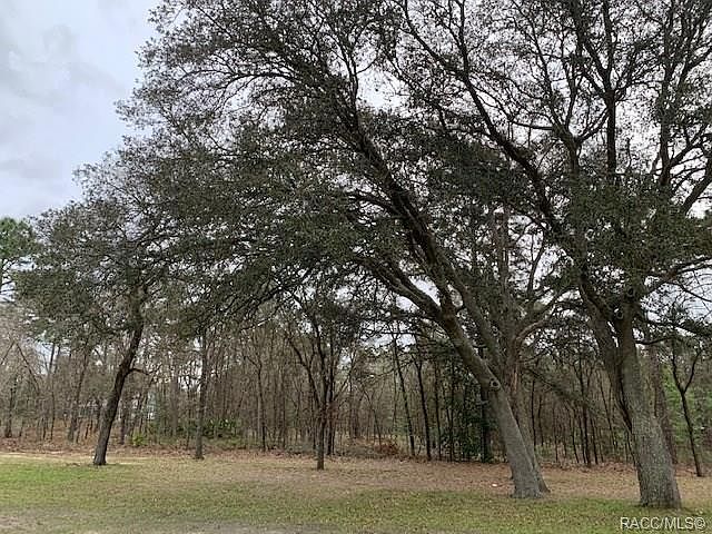 1st image of 5554 N Lena Dr