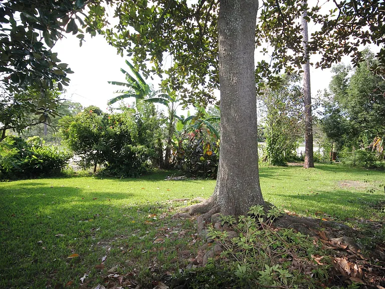 4005 Conga St — Photo 38