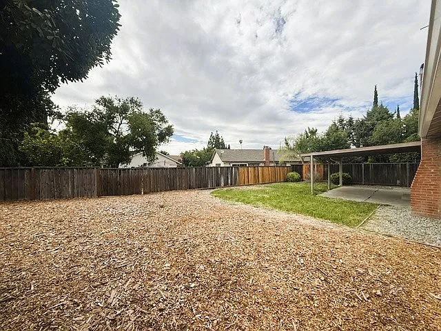 Big Backyard