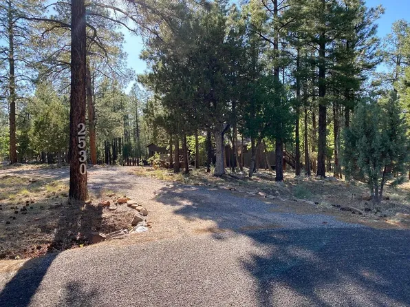 2530 Ruidoso Dr, Happy Jack, AZ 86024