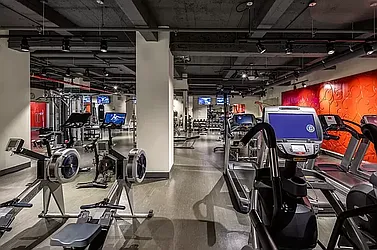 Rented by The Royse Group