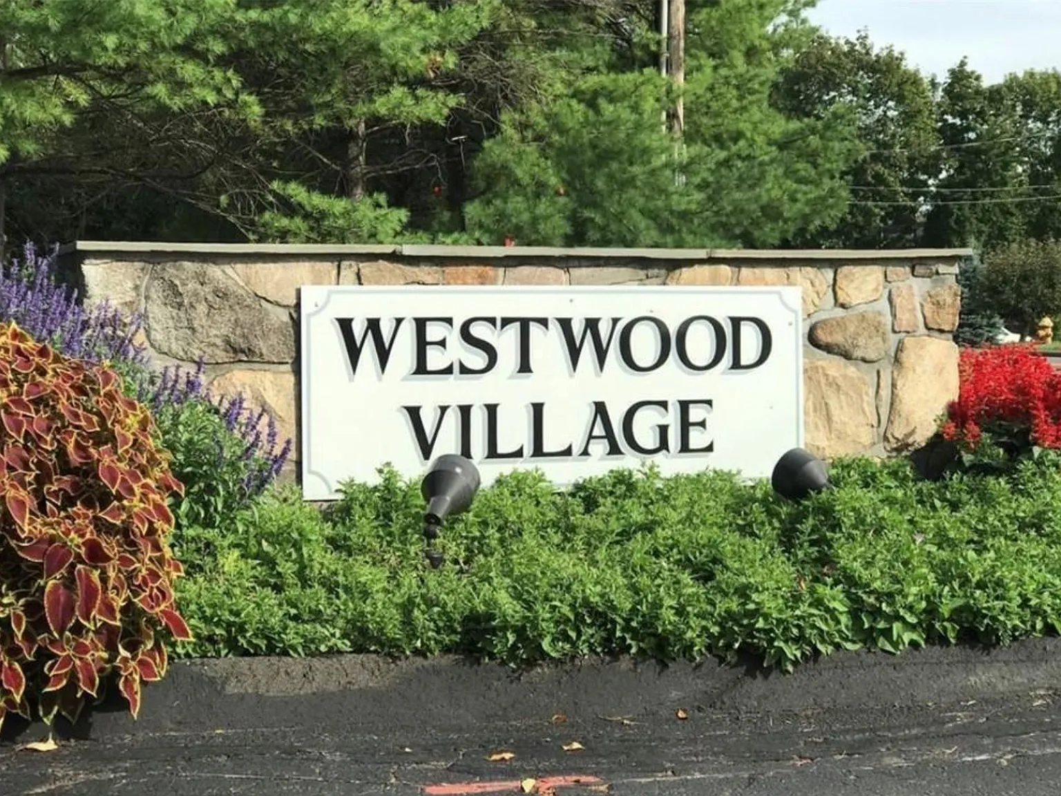 1 bed, 860 sqft, $1,850 — Photo 1