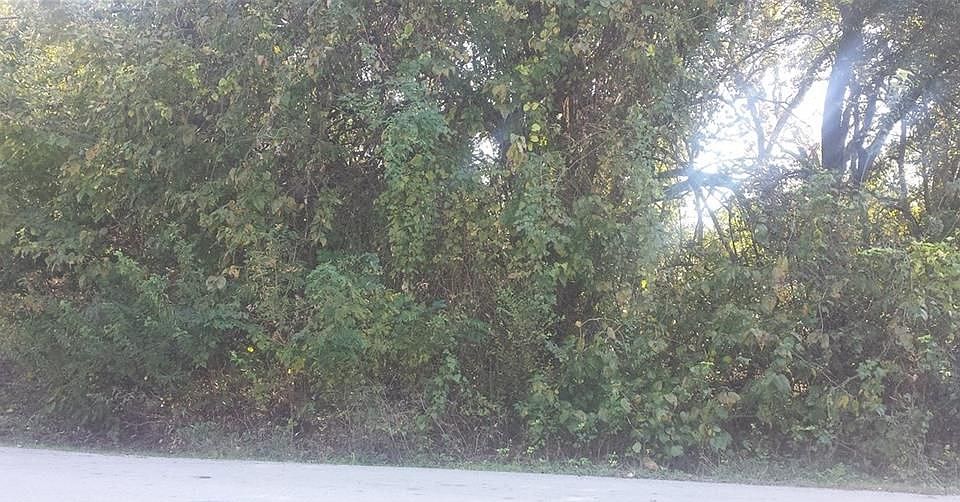 1st image of 126 Lakewood Dr
