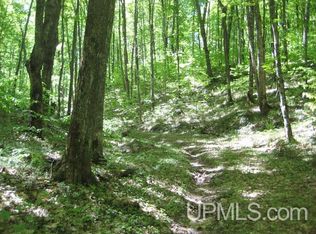 H58 Tbd H58, Shingleton, MI 49884