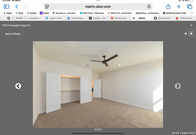 105 Pineapple Sage Cv — Photo 5