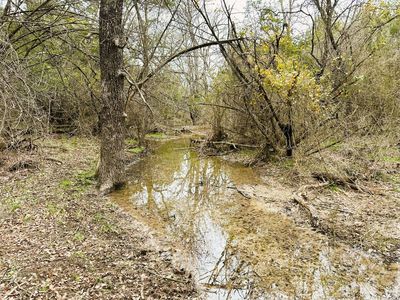 County Road 105, Hamilton, TX, 76531