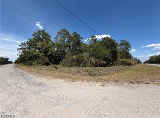 203 Hunting Club Ave, Clewiston, FL 33440
