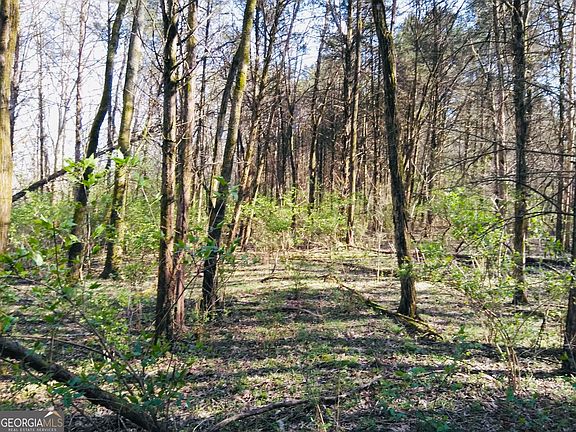 2nd image of 1517 Ninety Seven Springs Rd NE