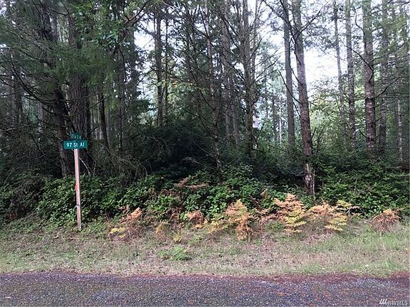Lot has been partially cleared with a number of great evergreens remaining