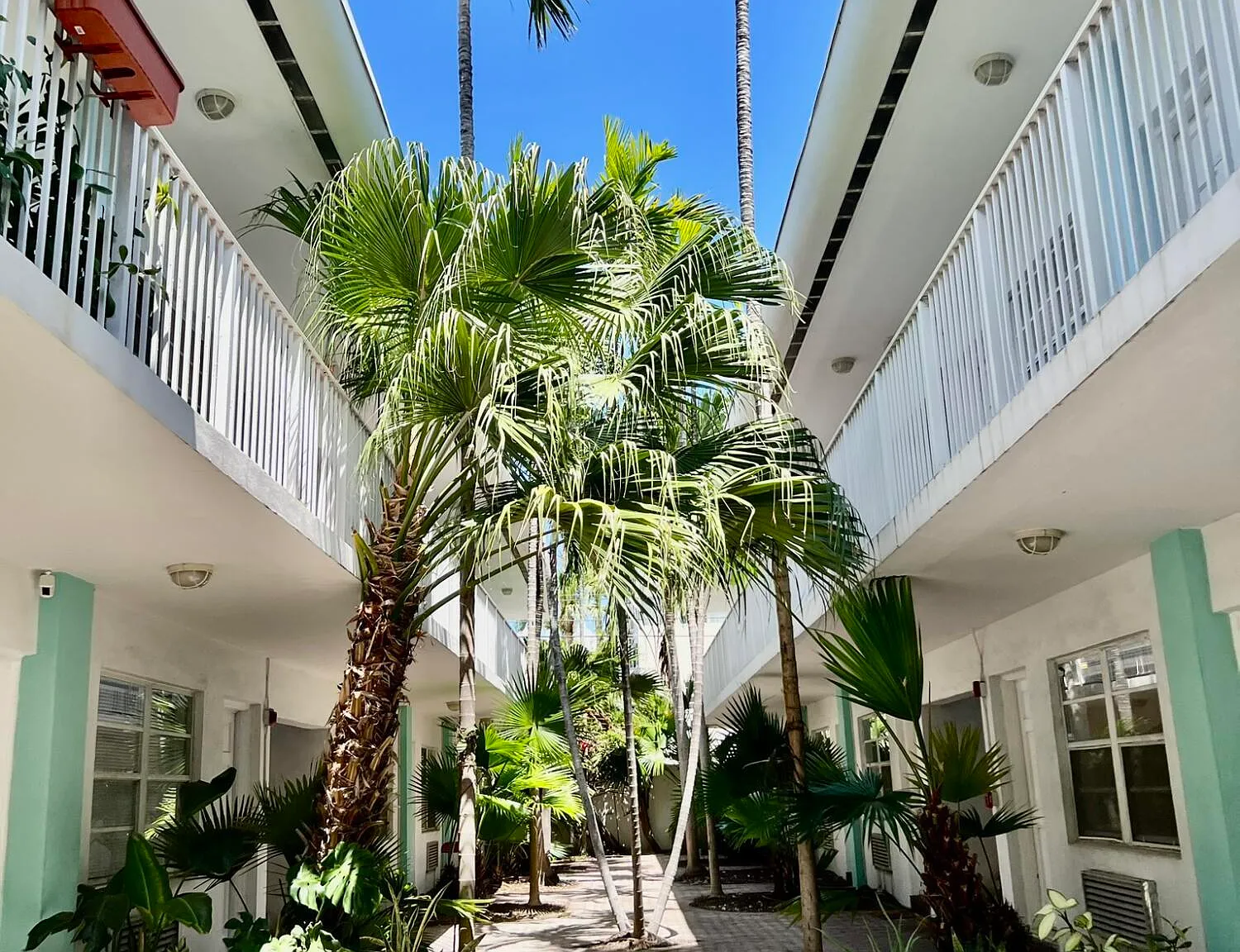 1 bed, 1.0 bath, 420 sqft, $1,800 — Photo 2