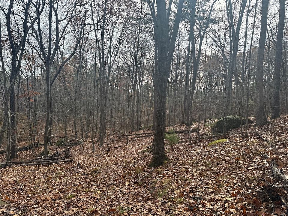 2nd image of 74 Warren St