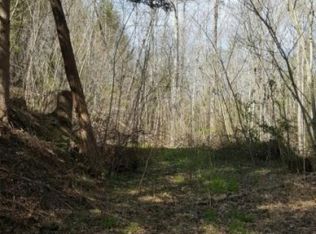 4413 Wilhite Rd, Cosby, TN 37722