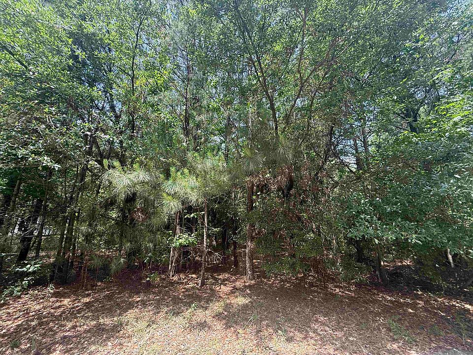 1st image of Lot 1 Brantly Rd.