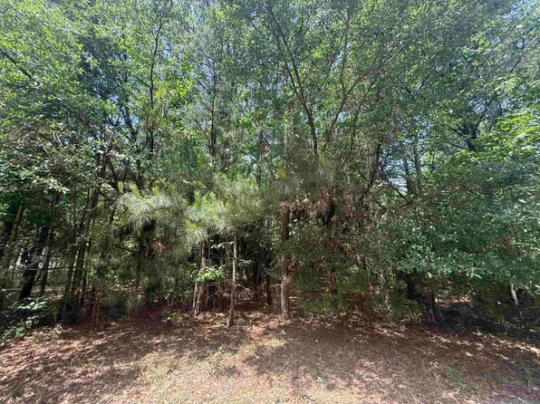 Lot 1 Brantly Rd., Andrews, SC 29510