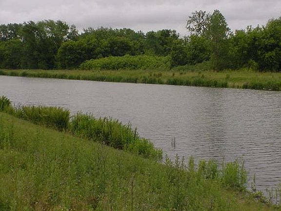 Pond