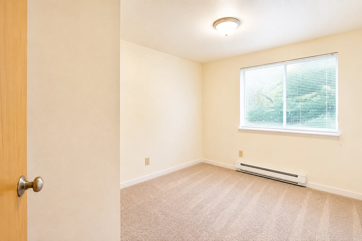 1 bed, 580 sqft, $1,649 — Photo 3