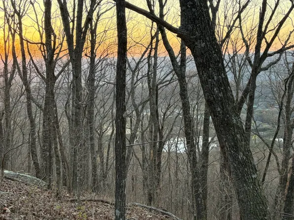 TRACT 1 Scenic Hwy Lot 1, Mentone, AL 35984