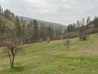 1050 Cedar Ridge Rd, Kendrick, ID, 83537