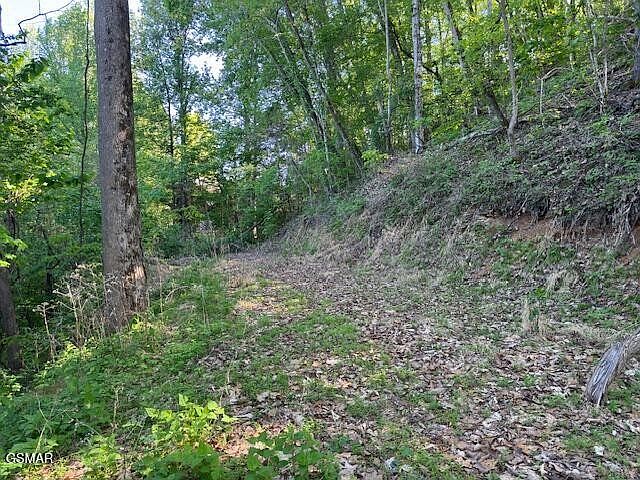 1st image of 13 Dove View Rd Lot 13
